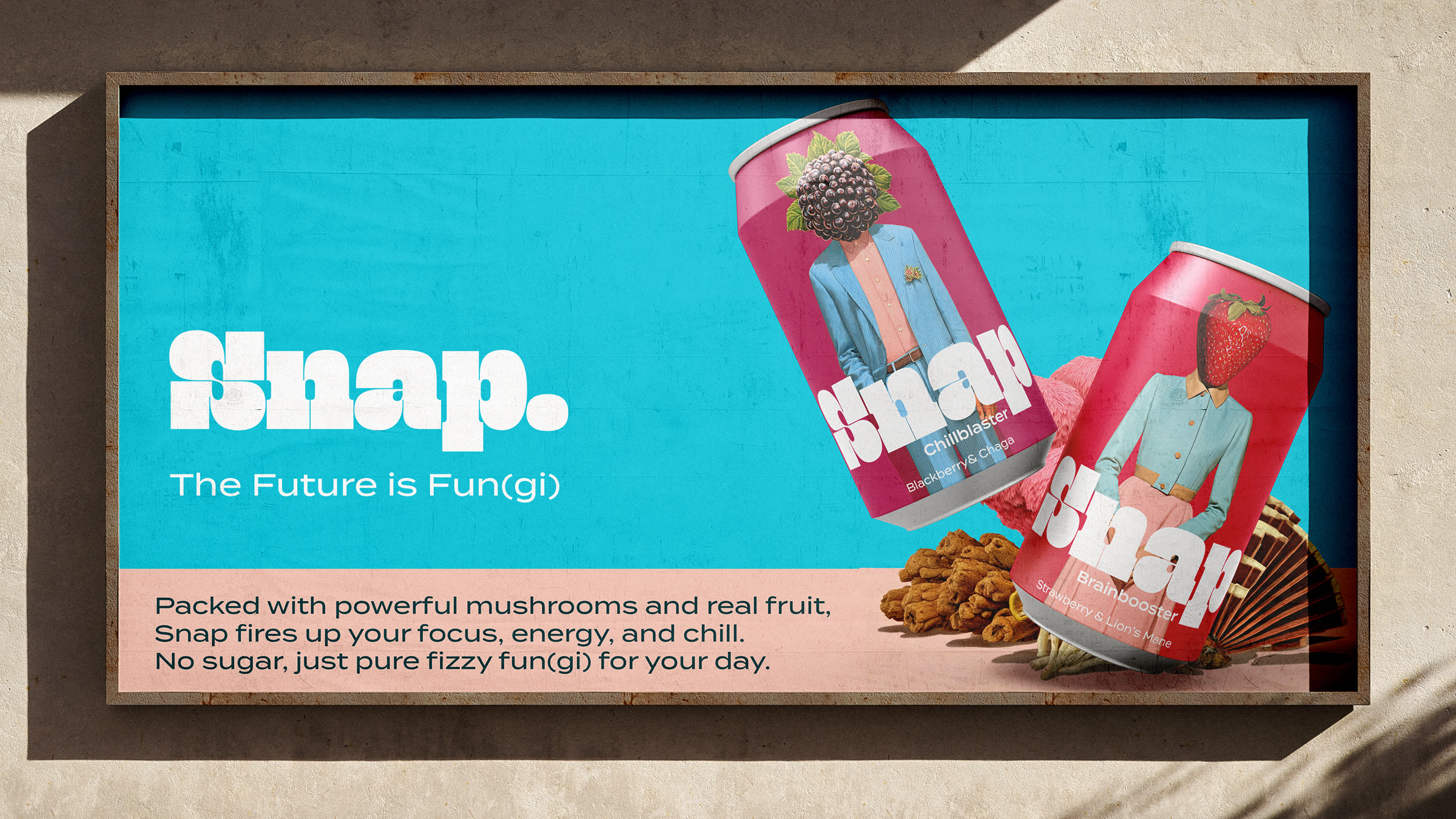 Snap Functional Fizz - Full Width Image